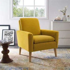 Lemon Comfortable Arm Rest Chair